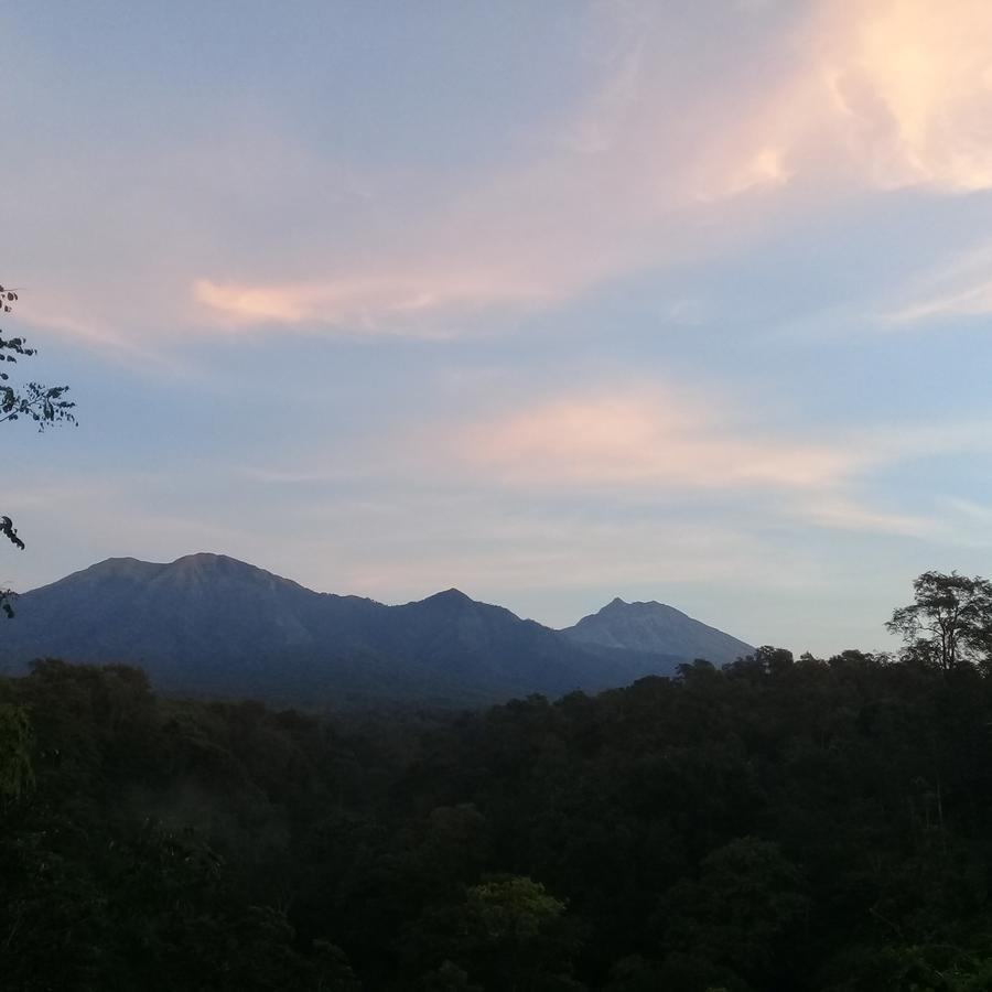 Tereng Wilis Jungle Inn Tetebatu Exteriér fotografie