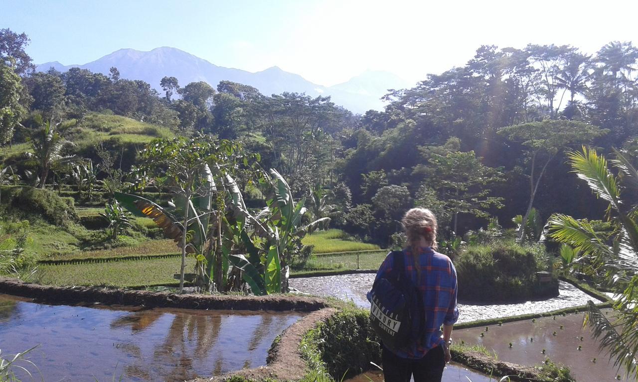 Tereng Wilis Jungle Inn Tetebatu Exteriér fotografie
