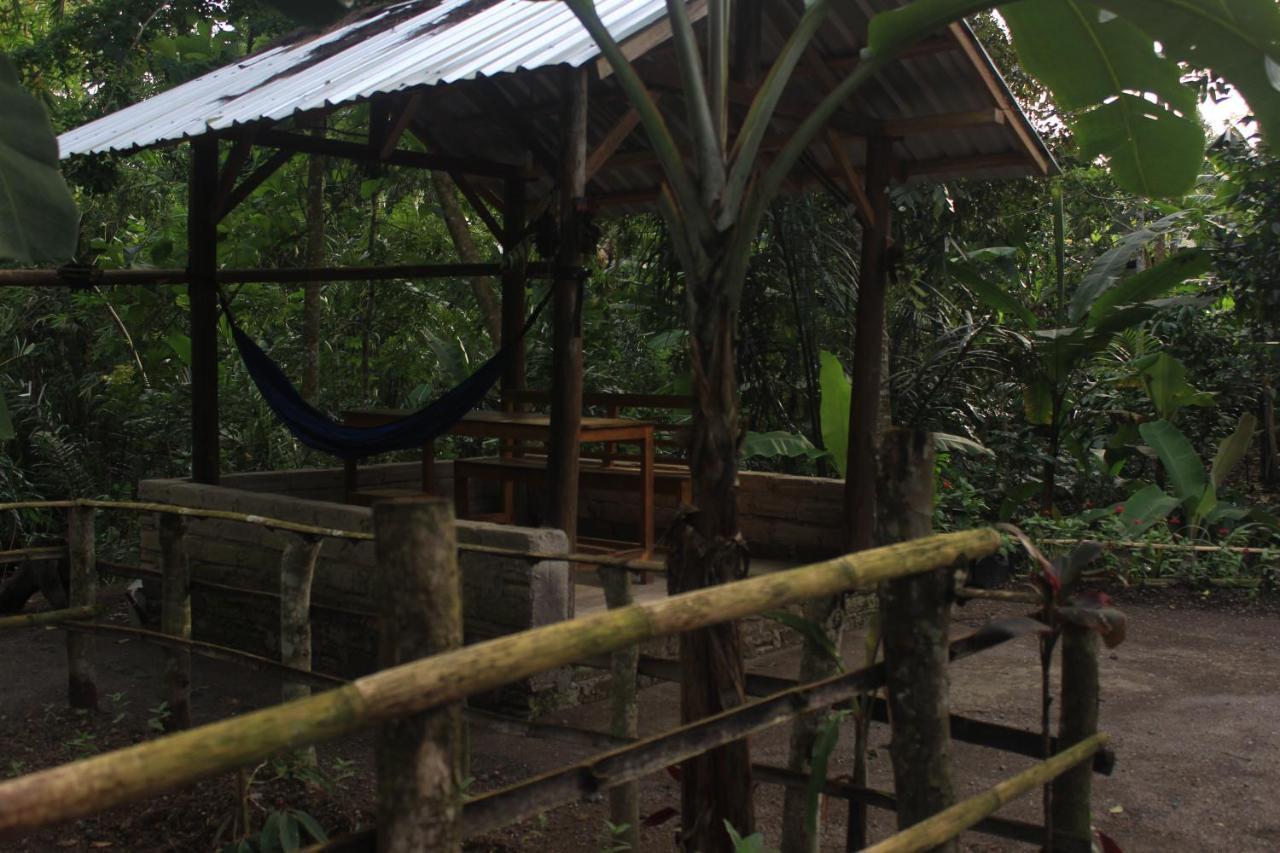 Tereng Wilis Jungle Inn Tetebatu Exteriér fotografie