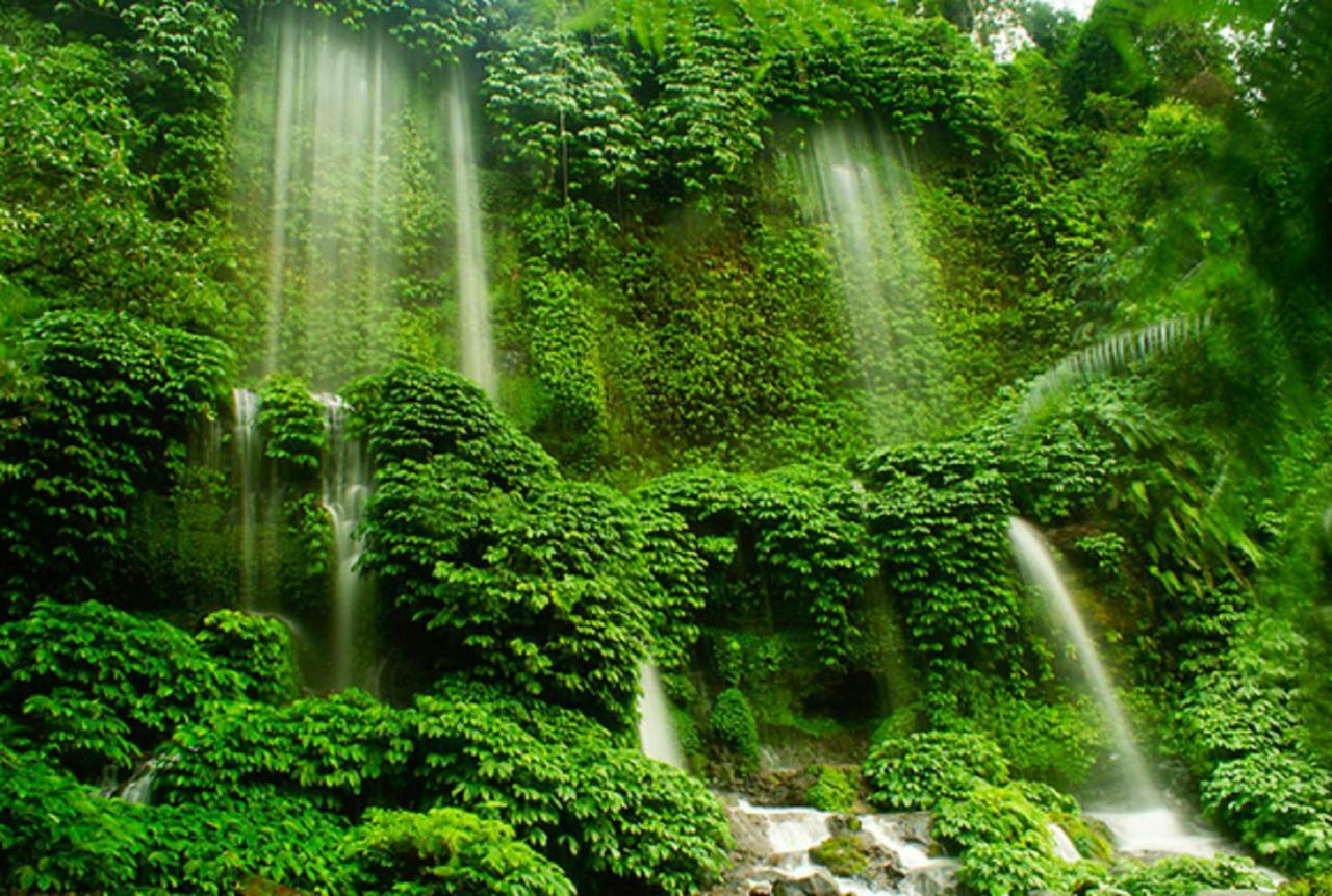 Tereng Wilis Jungle Inn Tetebatu Exteriér fotografie