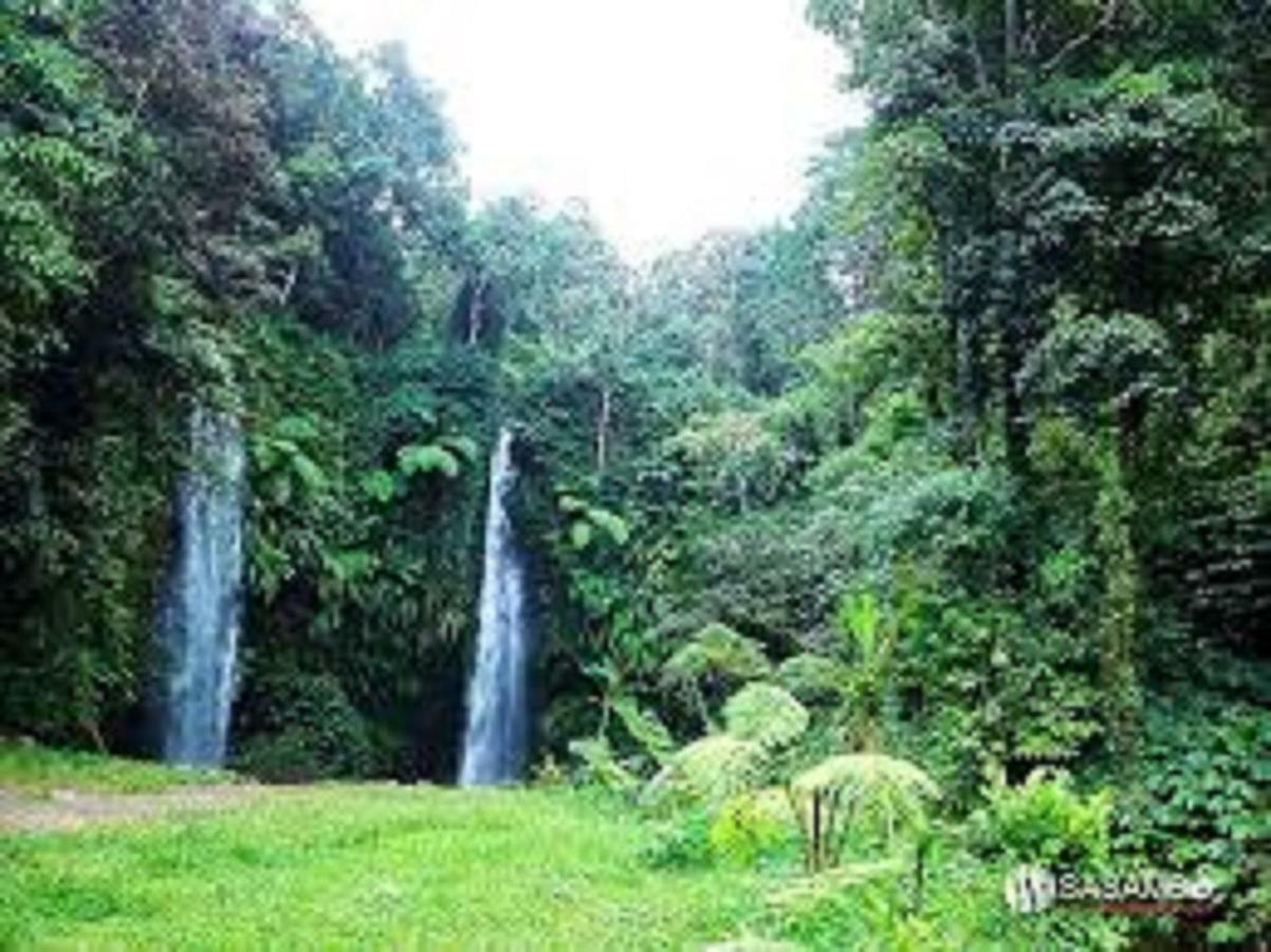 Tereng Wilis Jungle Inn Tetebatu Exteriér fotografie