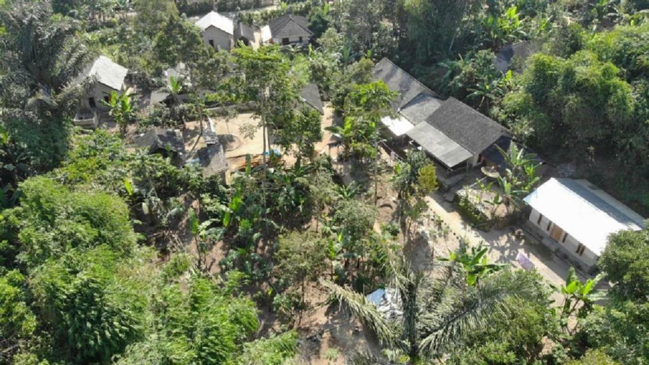 Tereng Wilis Jungle Inn Tetebatu Exteriér fotografie